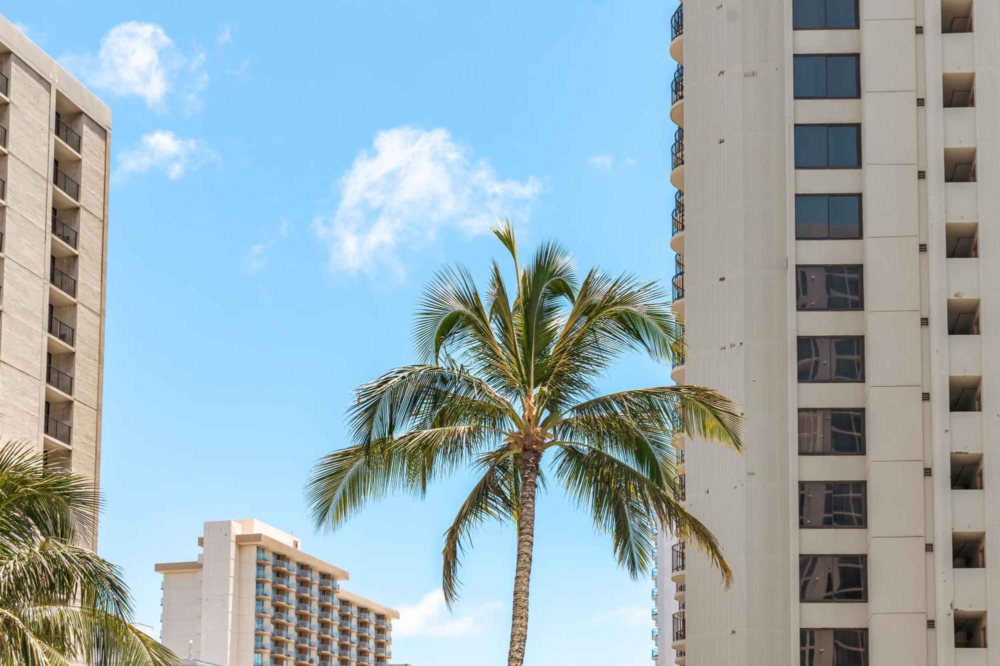 1Br With Great Ocean Views, 1 Block To Waikiki Beach Honolulu Buitenkant foto