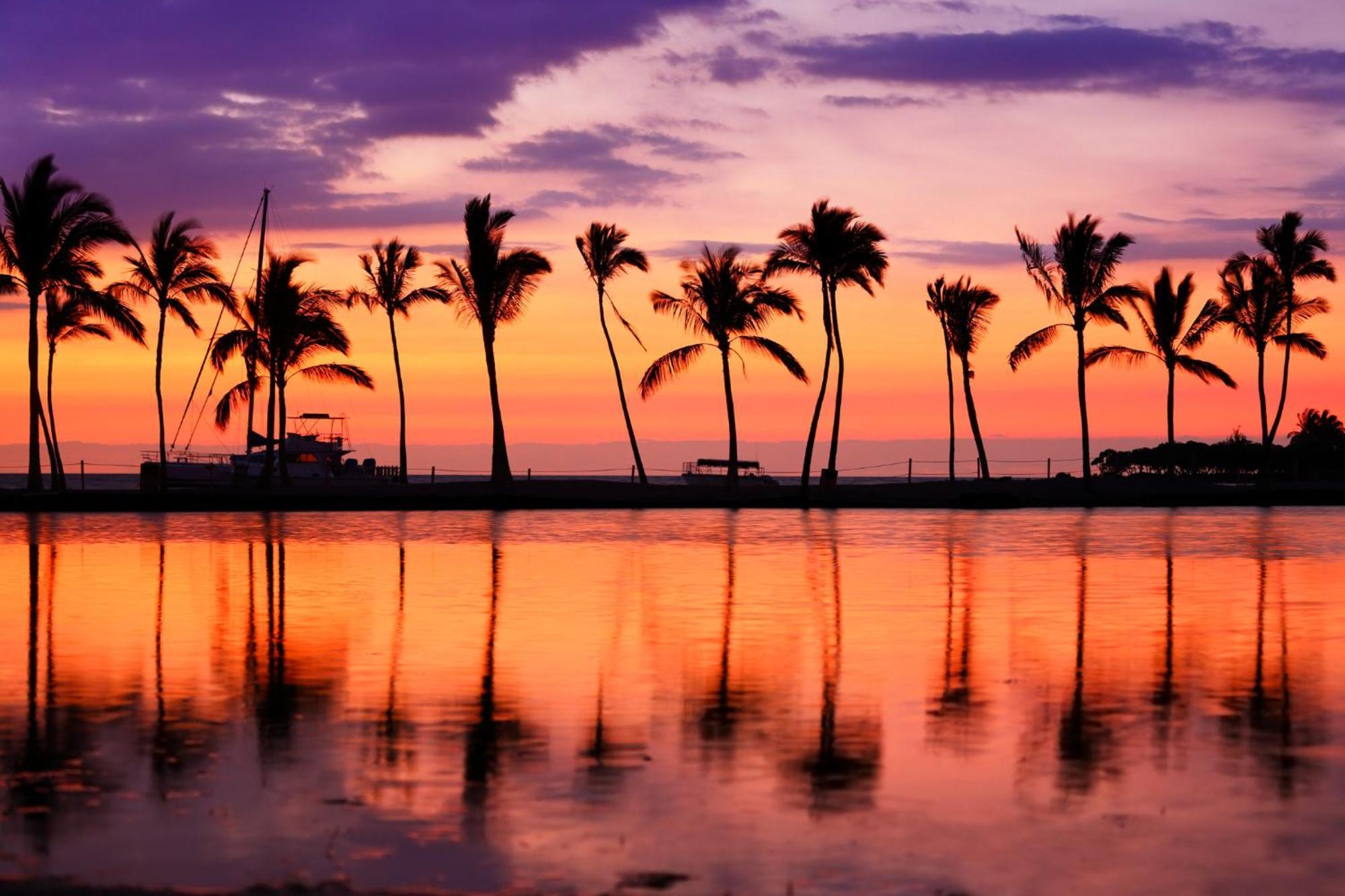 1Br With Great Ocean Views, 1 Block To Waikiki Beach Honolulu Buitenkant foto